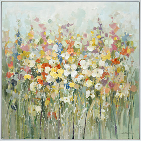 Framed Daisy Blooming in Spring 60*60 cm