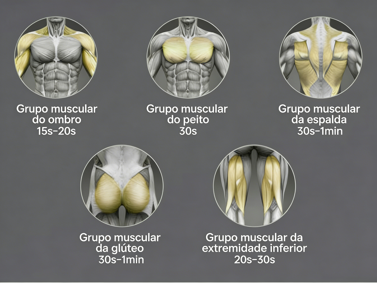 Maquina De Fazer Massagem Alivia Tensões E Dores Musculares